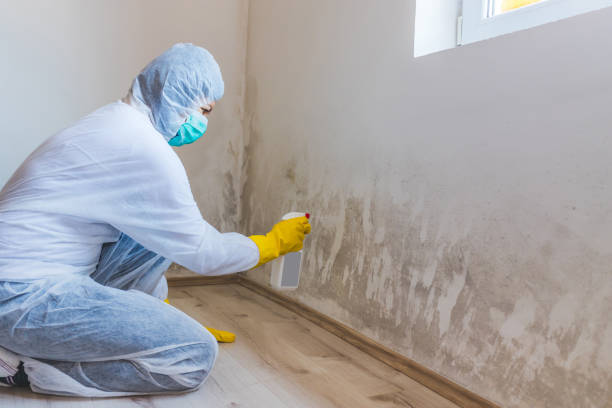 Commercial Mold Remediation assessment for commercial property in Mount Holly